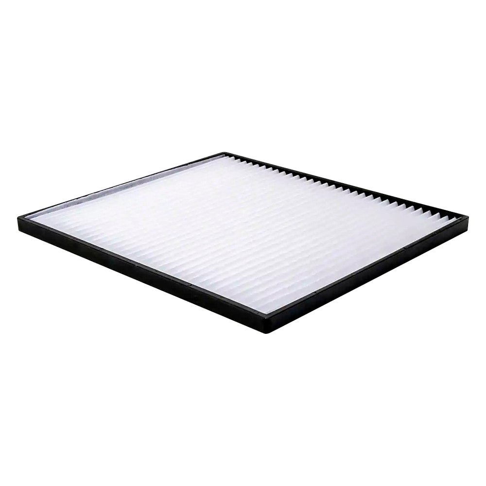 Baldwin Filters® PA30269 - Cabin Air Filter