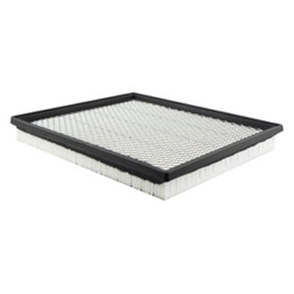 Baldwin Filters® - Air Filter Element