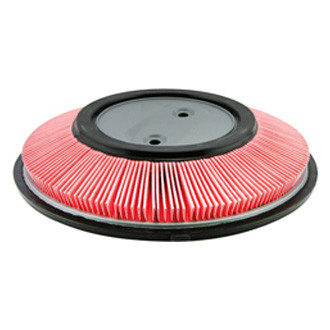 Baldwin Filters® - Air Filter Element