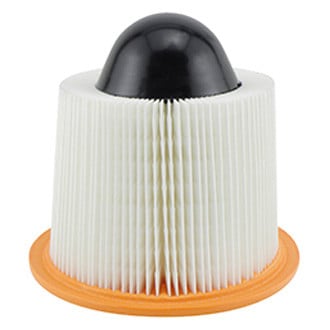 Baldwin Filters® - Air Filter Element