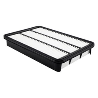 Baldwin Filters® - Air Filter Element