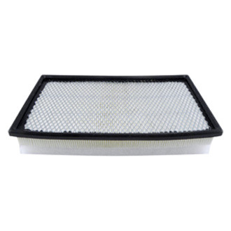 Baldwin Filters® - Air Filter Element with Foam Pad