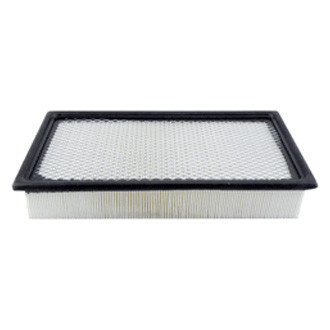 Baldwin Filters® - Air Filter Element
