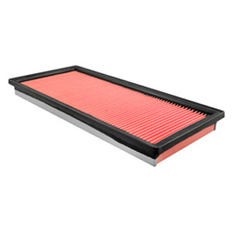 Baldwin Filters® - Air Filter Element