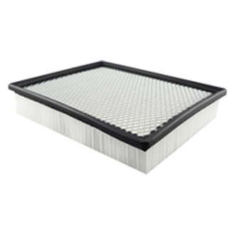 Baldwin Filters® - Air Filter Element