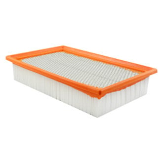 Baldwin Filters® - Air Filter Element