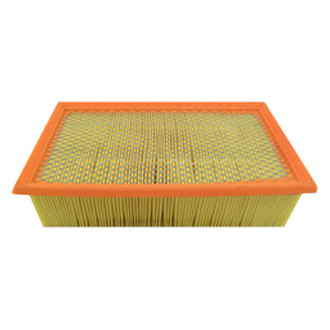Baldwin Filters® - Panel Air Filter Element
