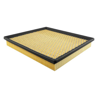 Baldwin Filters® - Radial Seal Air Filter