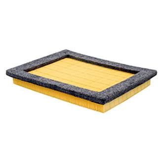 Baldwin Filters® - Air Filter Element