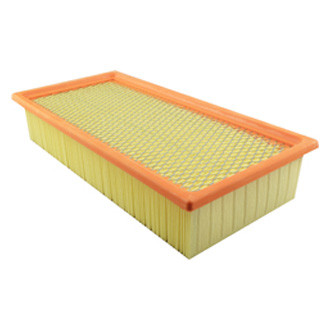 Baldwin Filters® - Air Filter Element