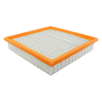 Baldwin Filters® - Air Filter Element