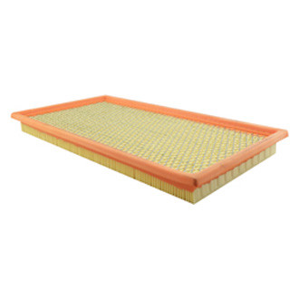Baldwin Filters® - Air Filter Element