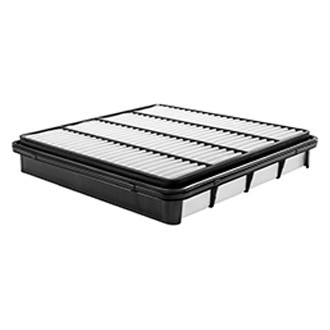 Baldwin Filters® - Air Filter Element