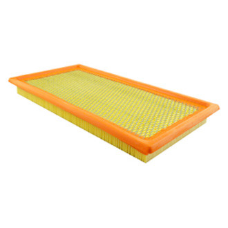 Baldwin Filters® - Panel Air Filter Element