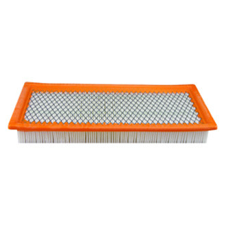 Baldwin Filters® - Air Filter Element