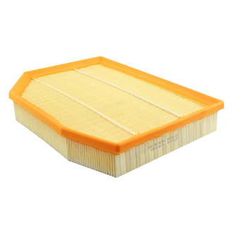 Baldwin Filters® - Air Filter Element