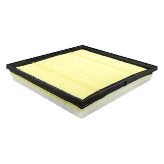 Baldwin Filters® - Radial Seal Air Filter