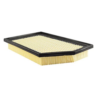 Baldwin Filters® - Air Filter Element