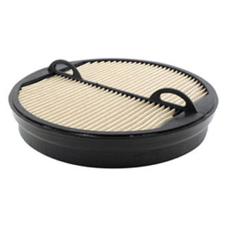 Baldwin Filters® - Channel Flow Air Filter Element