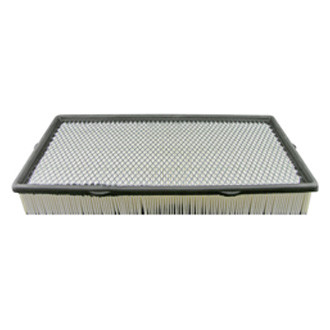 Baldwin Filters® - Air Filter Element