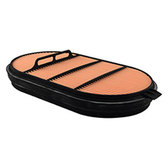 Baldwin Filters® - Channel Flow Air Filter Element