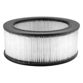 Baldwin Filters® - Air Filter Element