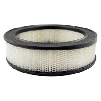 Baldwin Filters® - Air Filter Element