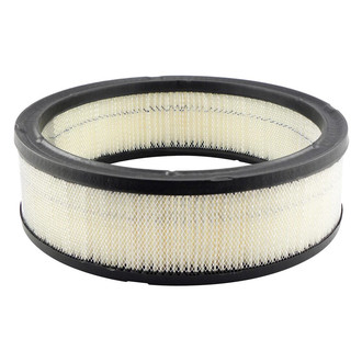 Baldwin Filters® - Radial Seal Air Filter