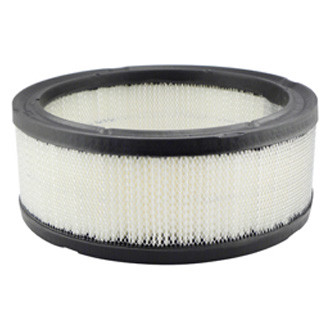 Baldwin Filters® - Air Filter Element
