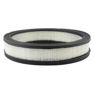Baldwin Filters® - Air Filter Element