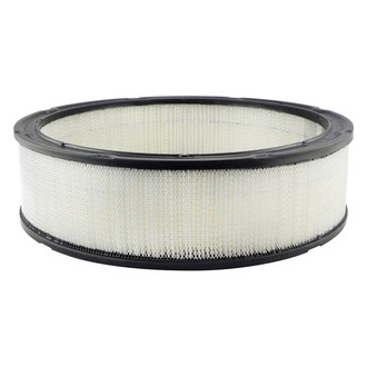 Baldwin Filters® - Radial Seal Air Filter