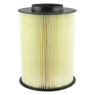 Baldwin Filters® - Radial Seal Air Filter Element