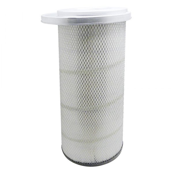 Baldwin Filters® - Air Filter Element with Lid