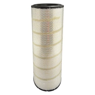 Baldwin Filters® - Radial Seal Air Filter