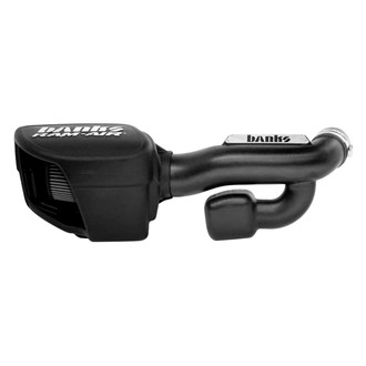 Banks® - Plastic Black Short Ram Air Intake System with Dry Black Filter