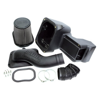 Banks® - Plastic Short Ram Air Intake System with Dry Black Filter