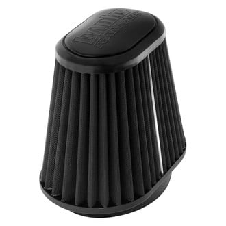 Banks® - Dry Air Filter