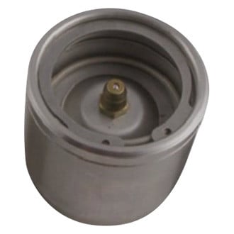 Bearing Buddy® - Bearing Protectors