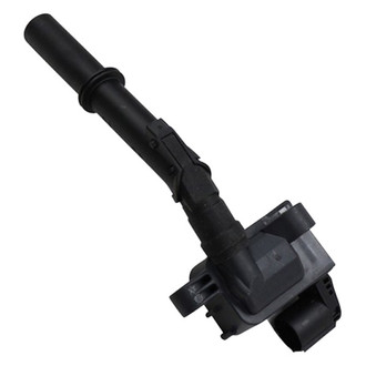 Beru® - Ignition Coil