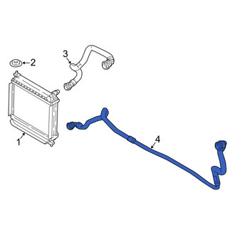BMW OE - Lower Radiator Coolant Hose