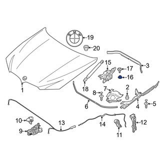 BMW OE - Hood Hinge Nut