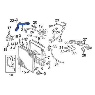 BMW OE - Lower Radiator Coolant Hose