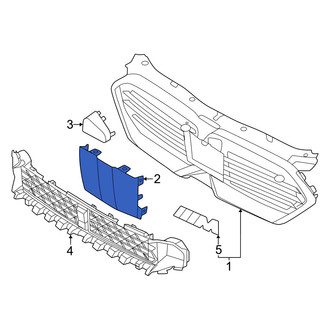 BMW OE - Front Grille Molding