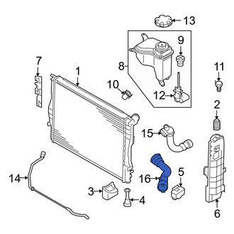 BMW OE - Lower Radiator Coolant Hose