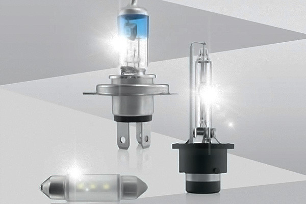 2018-2019 Bulbs Catalog (3.3 MB)