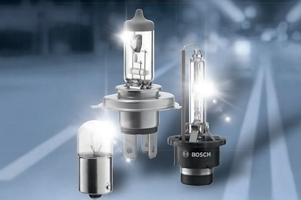 2015-2016 Bulbs Catalog (5.3 MB)