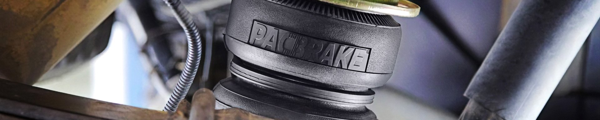Pacbrake Custom Automotive Horns