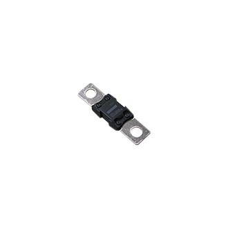 Bussmann® BPAMG100RP - AMG High Amp Fuse