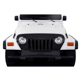 Carbon Creations® - 1-Pc Predator Style Main Grille