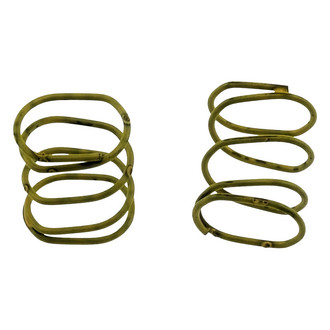 Carlson® - Rear Parking Brake Strut Spring Set